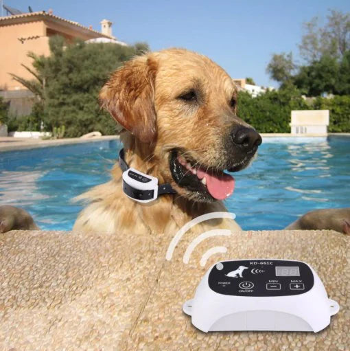 Wireless Dog Fence System With Collar For Dogs | SLIMG:7613715919697617426