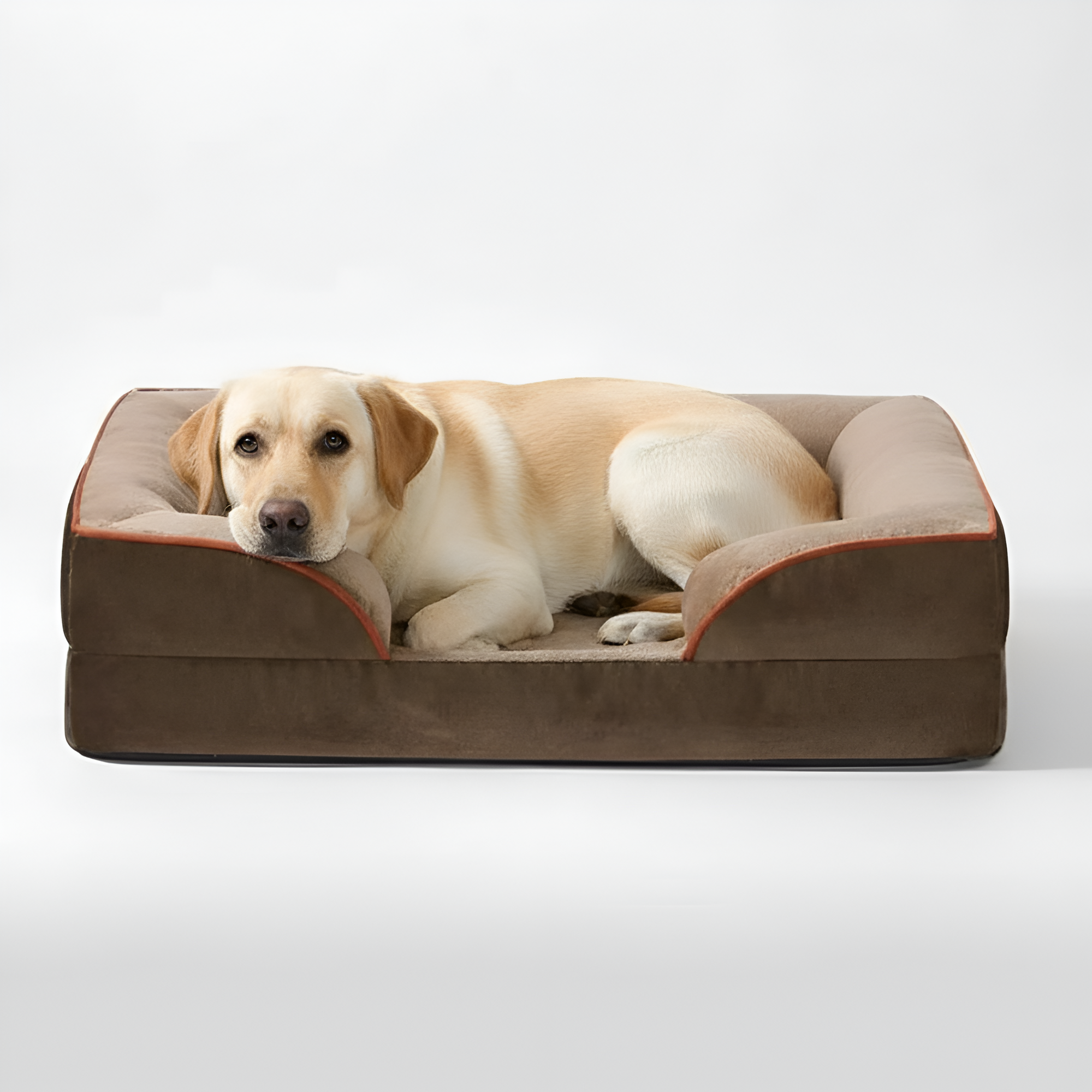 Waterproof Anti Skid Pet Bed