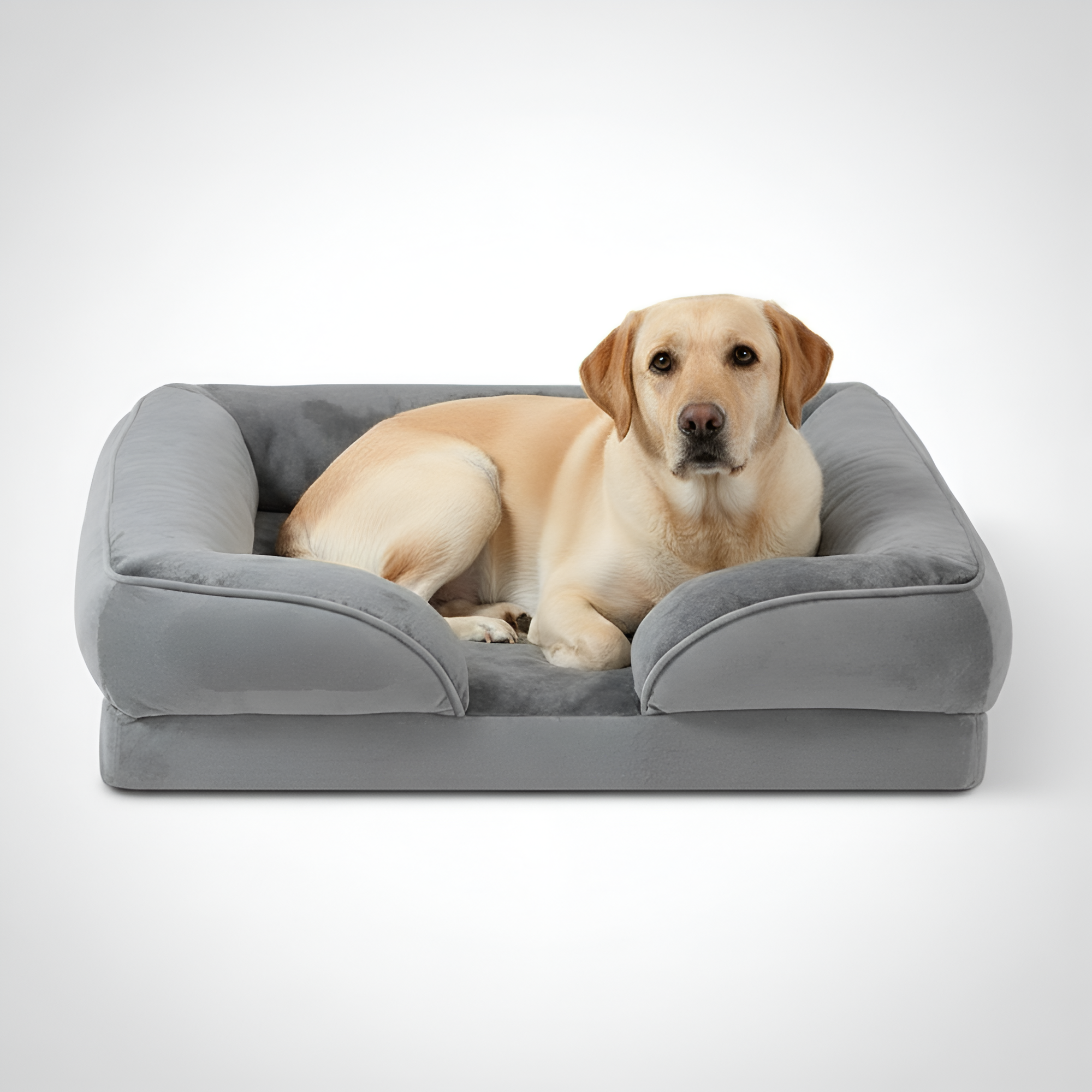Waterproof Anti Skid Pet Bed — view 3