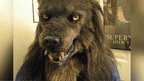 Wolf Costume Mask For Halloween Masquerade Party | SLIMG:7613368810775519691