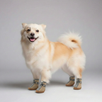 4 Pieces Of Winter Snow Hiking Dog Boots — view 5