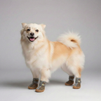 4 Pieces Of Winter Snow Hiking Dog Boots — view 6
