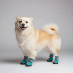 4 Pieces Of Winter Snow Hiking Dog Boots — view 9