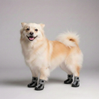 4 Pieces Of Winter Snow Hiking Dog Boots — view 7