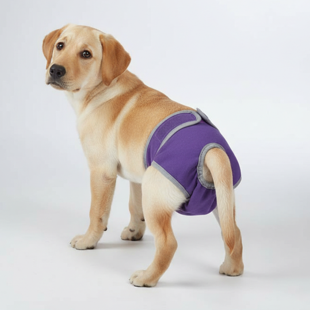 Stretchable Pull On Style Dog Pants — view 3