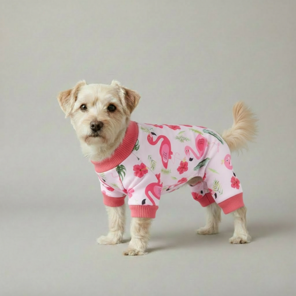 Cozy Style Printed Chihuahua Dog Pajama — view 5