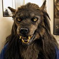 Wolf Costume Mask For Halloween Masquerade Party | SLIMG:7613405791014364477