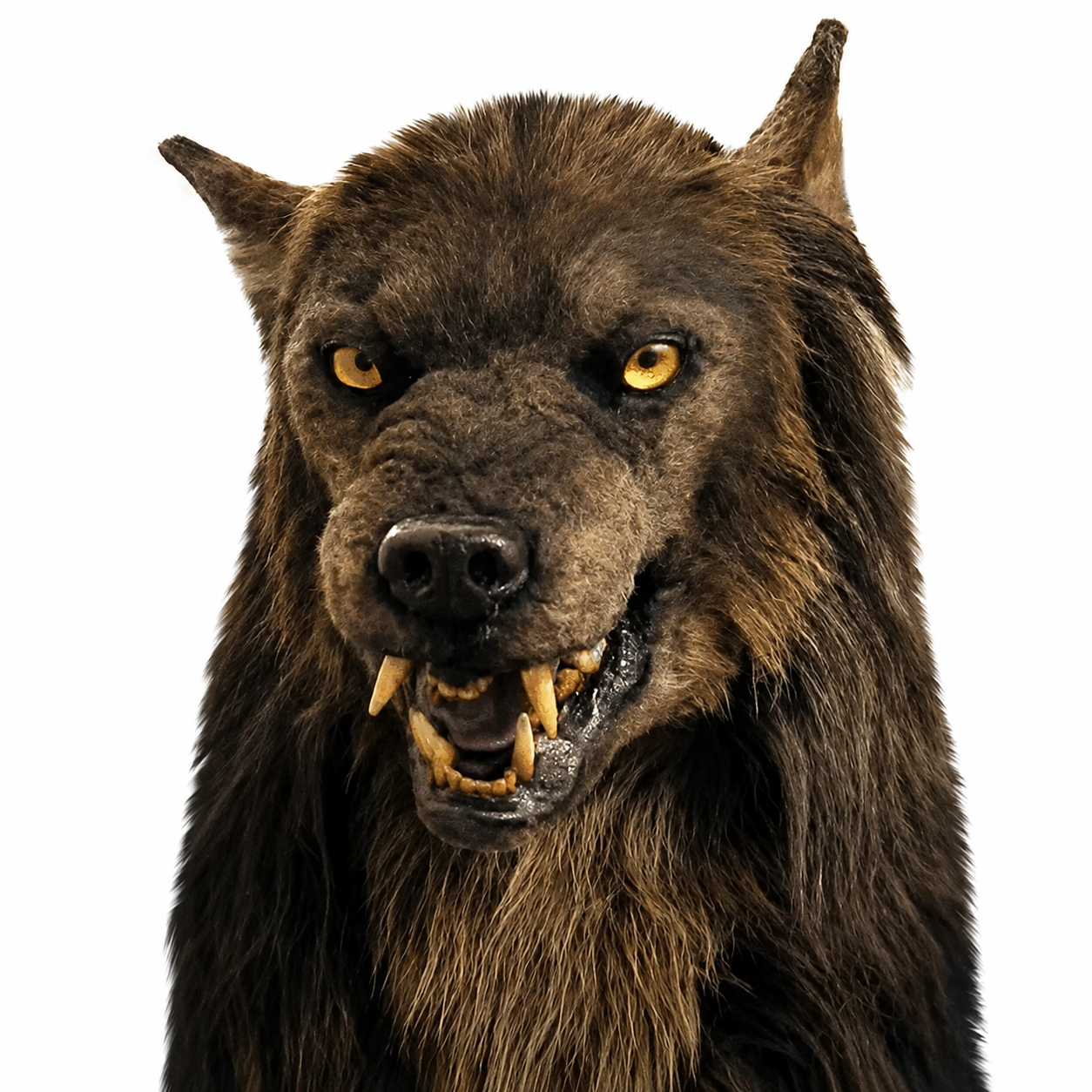 Wolf Costume Mask For Halloween Masquerade Party | SLIMG:7613405783816938114