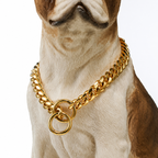 Heavy Duty Stainless Steel Dog Chain With Collar For Dogs | SLIMG:7613576688450937369