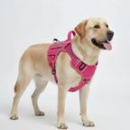 Adjustable Tactical Dog Harness Vest — view 5
