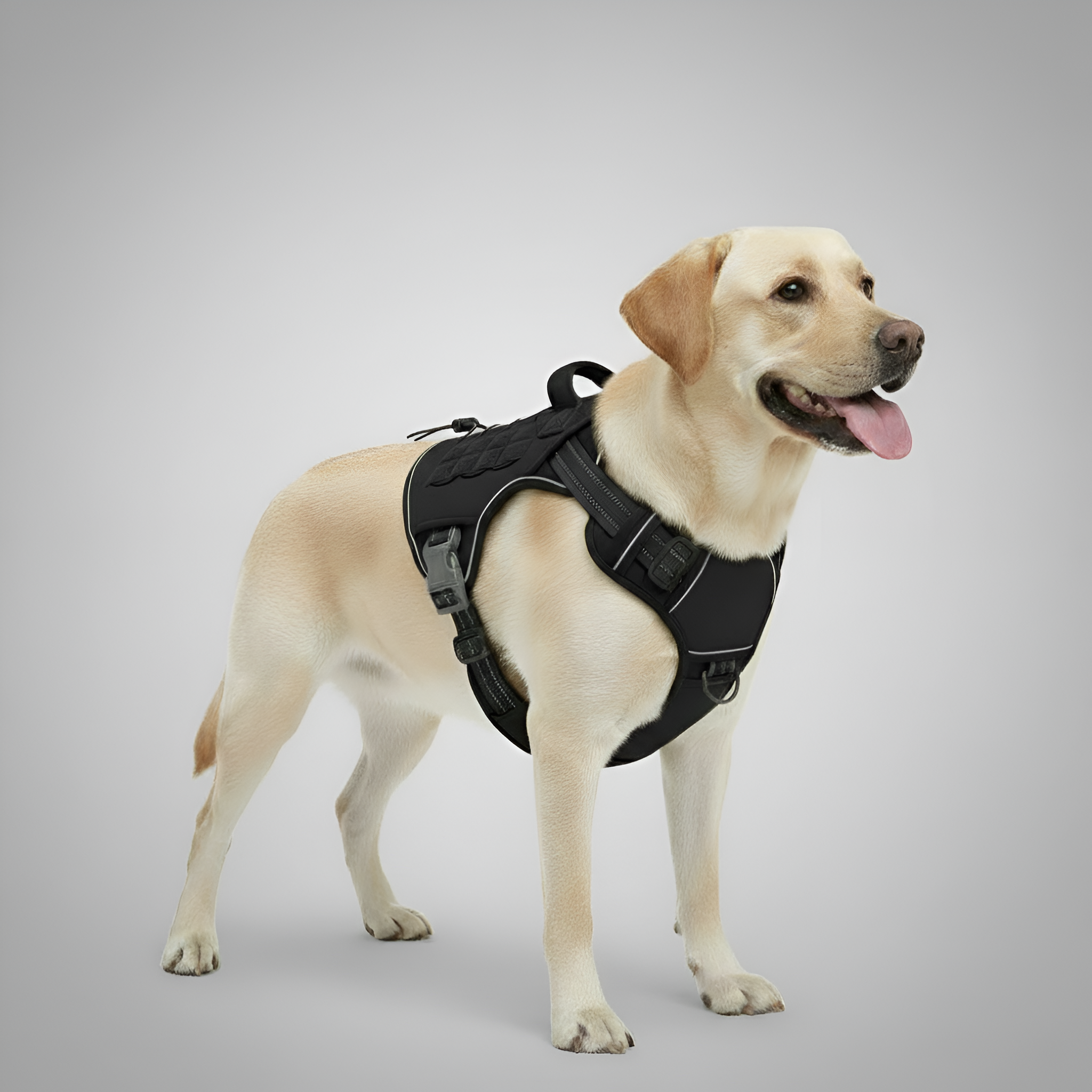Adjustable Tactical Dog Harness Vest — view 8