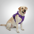 Adjustable Tactical Dog Harness Vest — view 3
