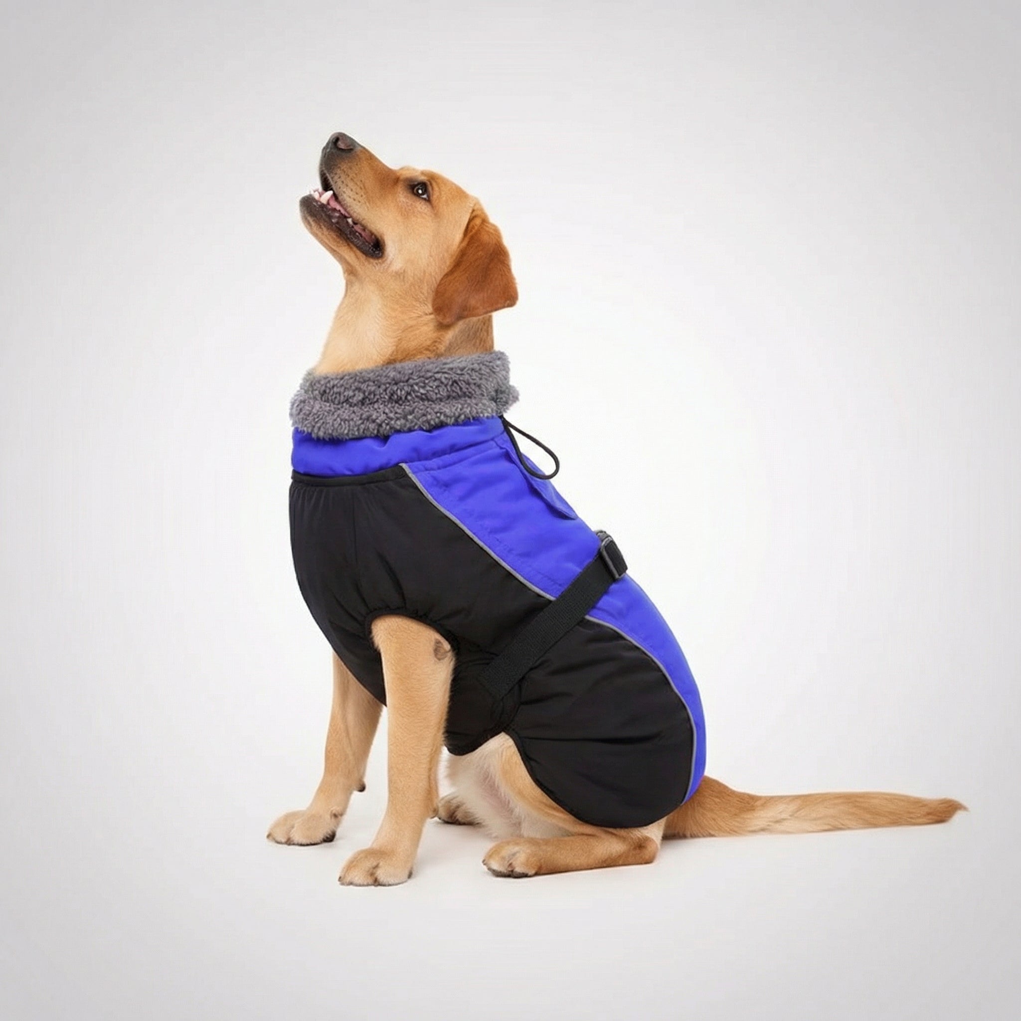 Adjustable Extra Warm Dog Winter Jacket — view 10