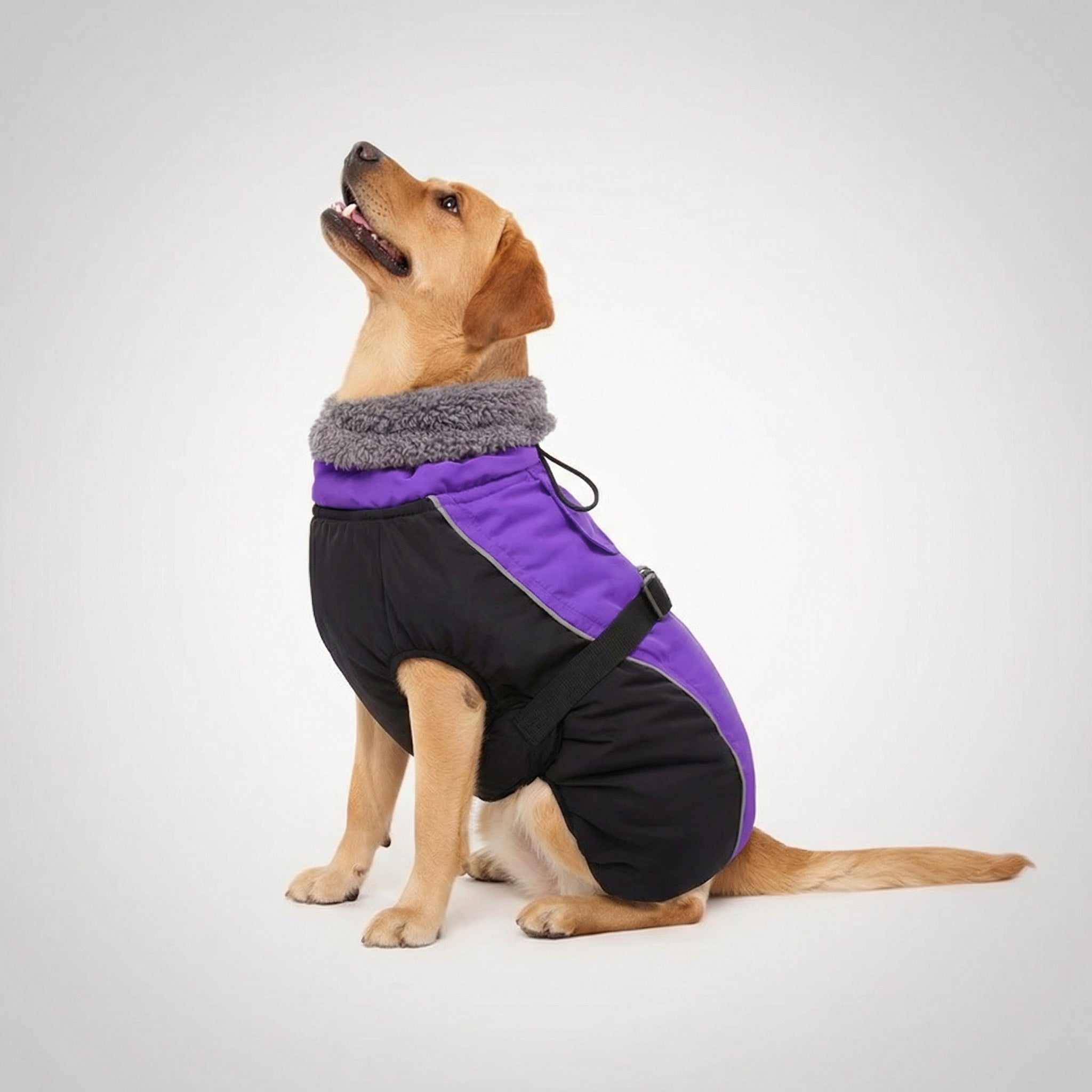 Adjustable Extra Warm Dog Winter Jacket — view 9