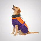 Adjustable Extra Warm Dog Winter Jacket — view 8