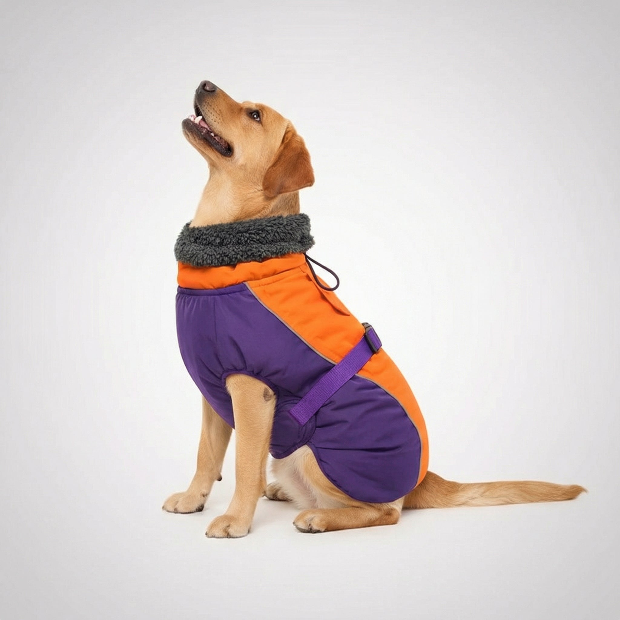 Adjustable Extra Warm Dog Winter Jacket — view 8