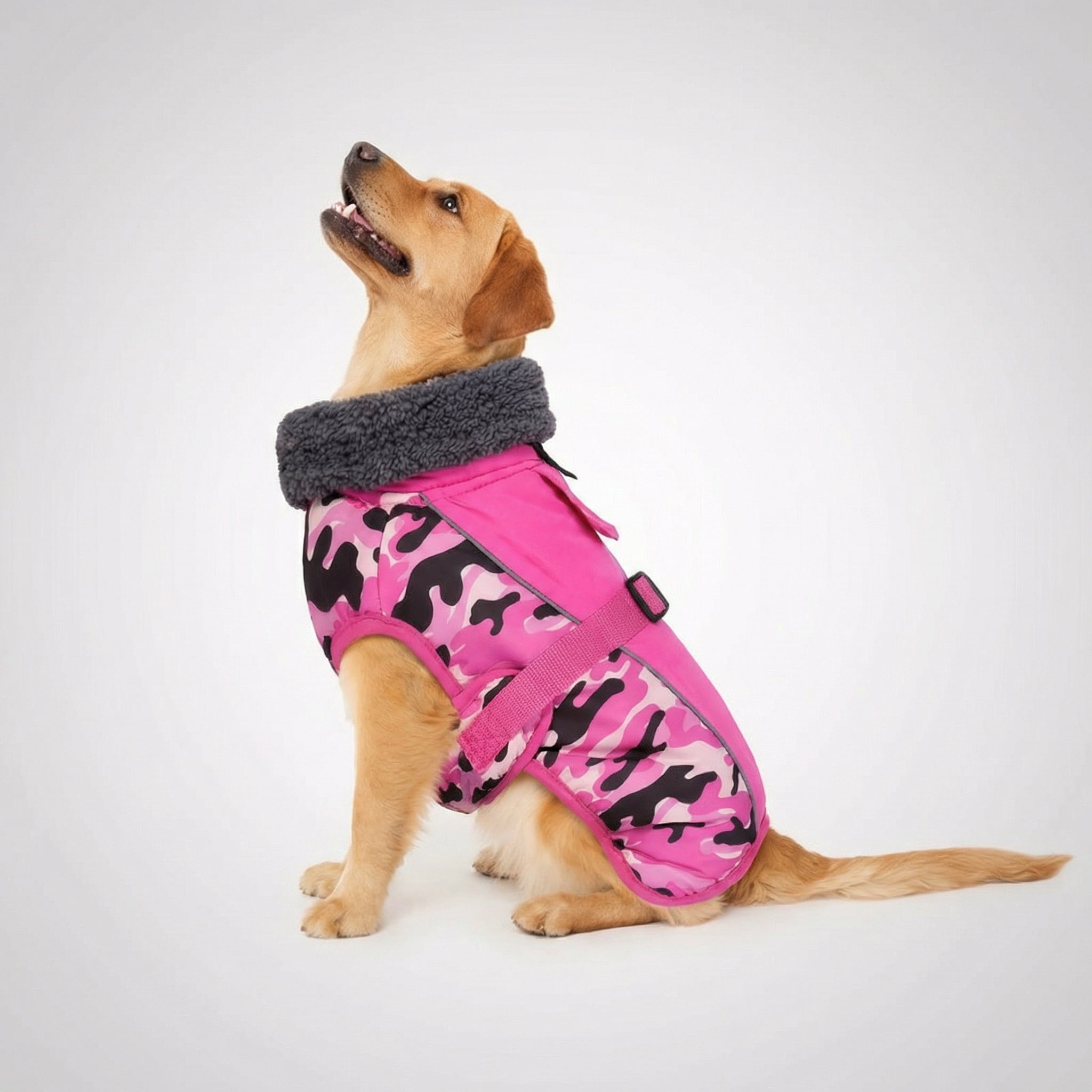 Adjustable Extra Warm Dog Winter Jacket — view 5