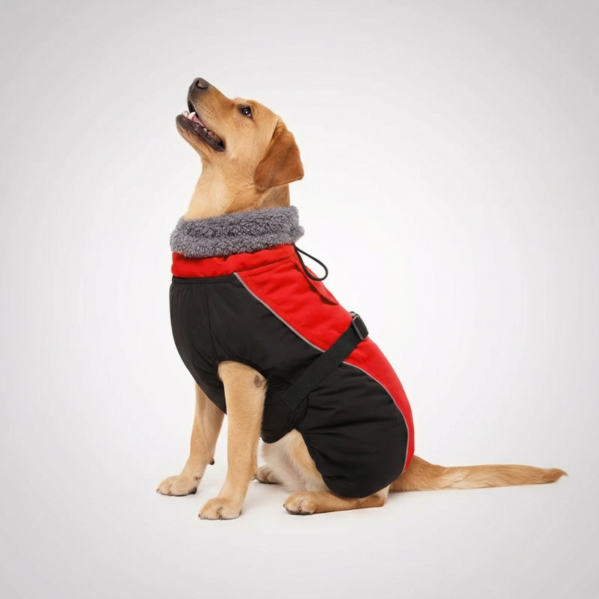 Adjustable Extra Warm Dog Winter Jacket — view 4