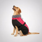 Adjustable Extra Warm Dog Winter Jacket — view 3