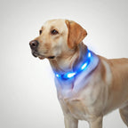 Halo Style LED Pet Collar — view 5