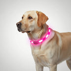 Halo Style LED Pet Collar — view 3