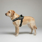 Heavy Duty Dog Harness With Custom Details — view 3