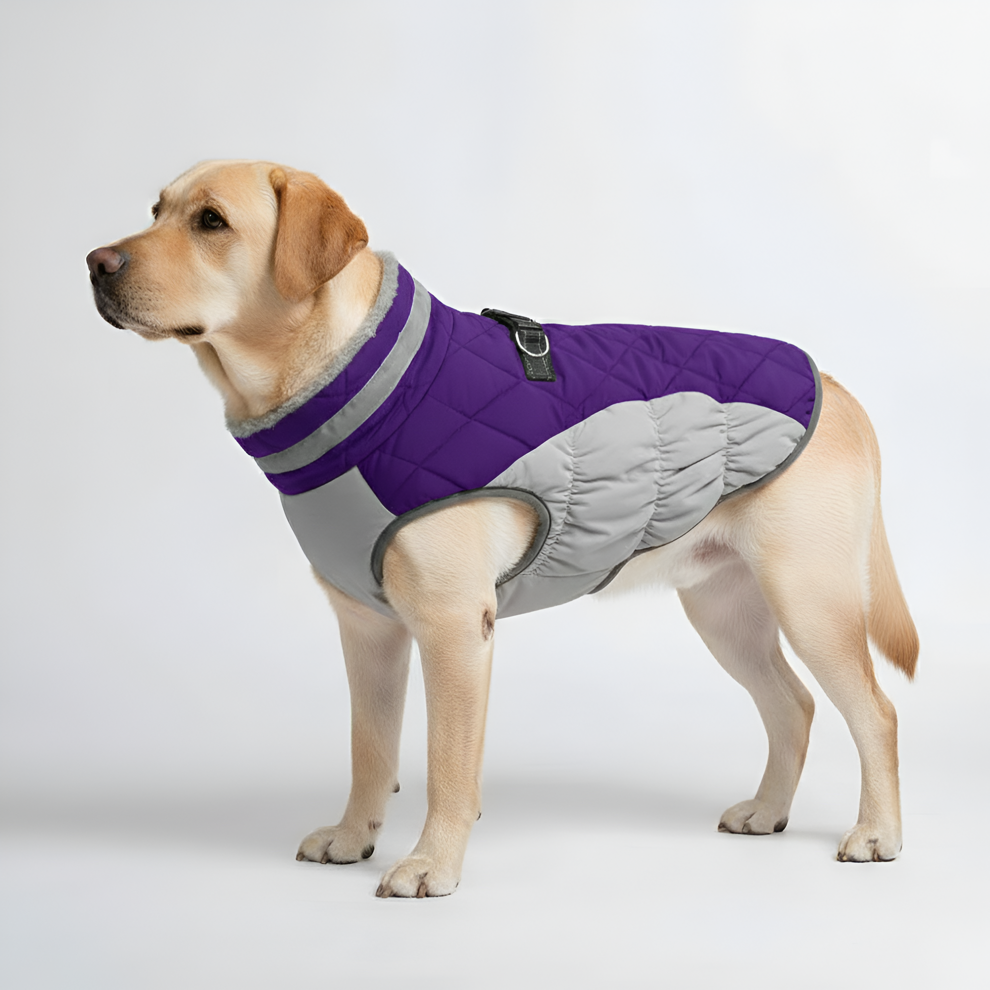 Padded Winter Dog Vest Jacket — view 6