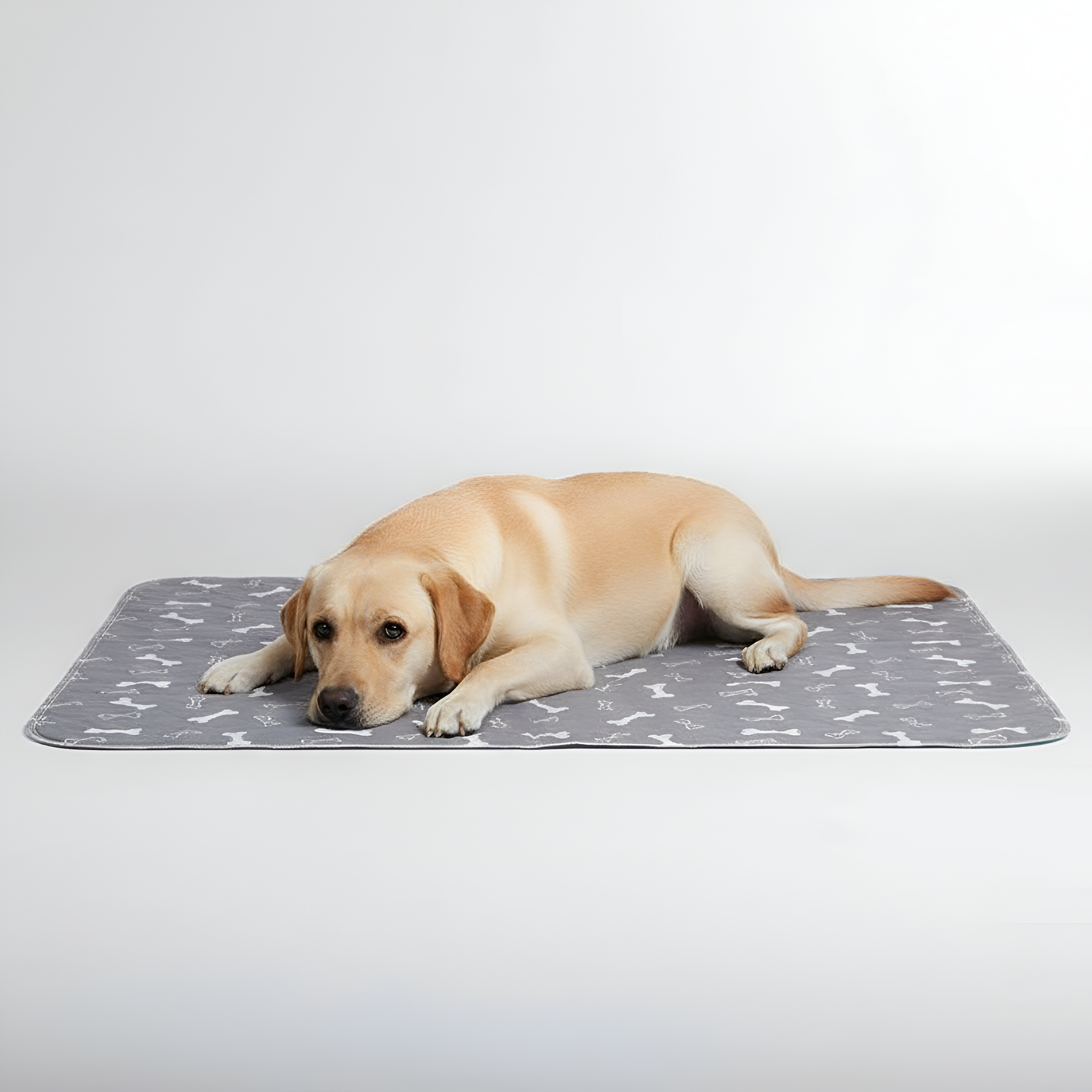 Paw Print Reusable Pet Urine Pad — view 4