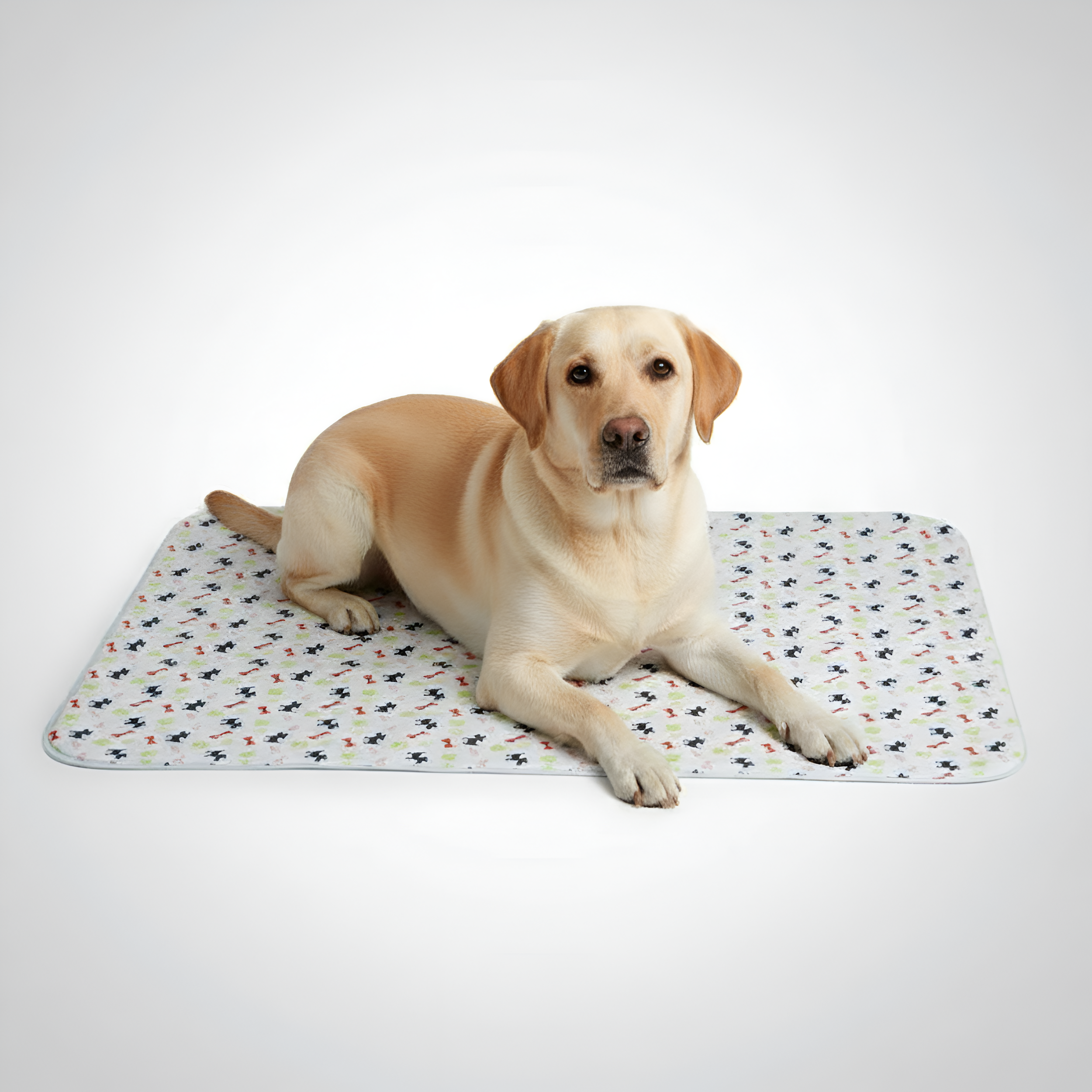 Paw Print Reusable Pet Urine Pad — view 3
