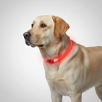 Rechargeable LED Pet Visibility Collar — view 4
