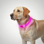 Rechargeable LED Pet Visibility Collar — view 3