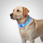 Rechargeable LED Pet Visibility Collar — view 5