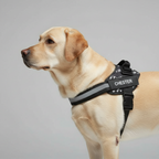 Adjustable Personalized Dog Harness Vest — view 9