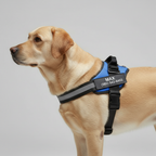 Adjustable Personalized Dog Harness Vest — view 3
