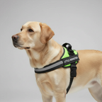Adjustable Personalized Dog Harness Vest — view 6