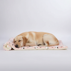 Printed Fleece Pet Cushion Blanket — view 4