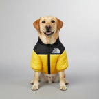 Cozy Winter Jacket For Dogs — view 2