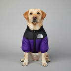 Cozy Winter Jacket For Dogs — view 3