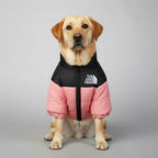 Cozy Winter Jacket For Dogs — view 5