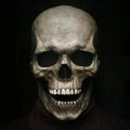 Movable Realistic Full Jaw Halloween Human Mask | SLIMG:7613539507019718693